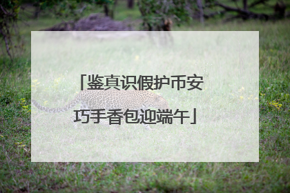 鉴真识假护币安 巧手香包迎端午
