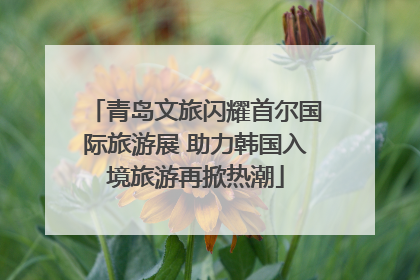 青岛文旅闪耀首尔国际旅游展 助力韩国入境旅游再掀热潮