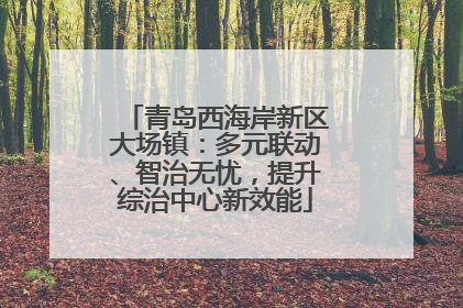青岛西海岸新区大场镇：多元联动、智治无忧，提升综治中心新效能