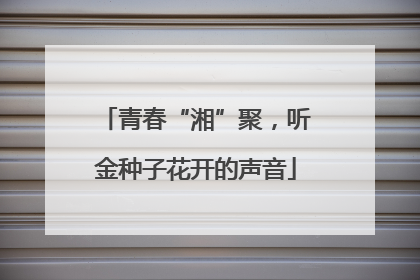 青春“湘”聚，听金种子花开的声音