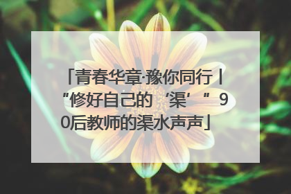 青春华章·豫你同行丨“修好自己的‘渠’”90后教师的渠水声声