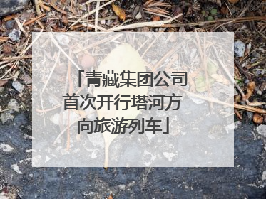 青藏集团公司首次开行塔河方向旅游列车