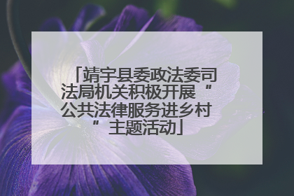 靖宇县委政法委司法局机关积极开展“公共法律服务进乡村”主题活动