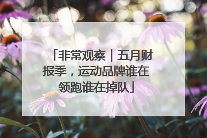 非常观察｜五月财报季，运动品牌谁在领跑谁在掉队
