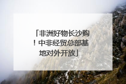 非洲好物长沙购！中非经贸总部基地对外开放