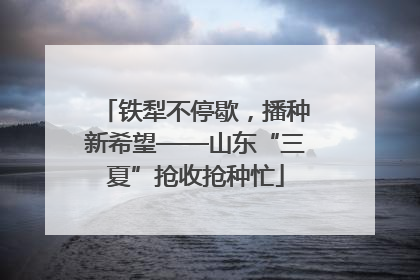 铁犁不停歇，播种新希望——山东“三夏”抢收抢种忙