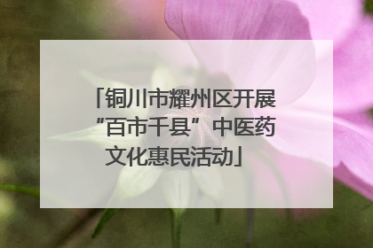 铜川市耀州区开展“百市千县”中医药文化惠民活动