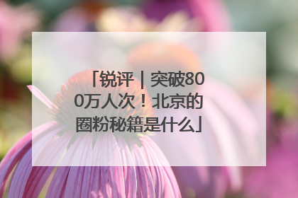 锐评｜突破800万人次！北京的圈粉秘籍是什么