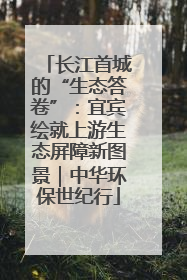 长江首城的“生态答卷”：宜宾绘就上游生态屏障新图景｜中华环保世纪行