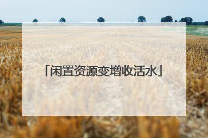 闲置资源变增收活水