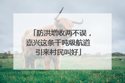 防洪增收两不误，嘉兴这条千吨级航道引来村民叫好