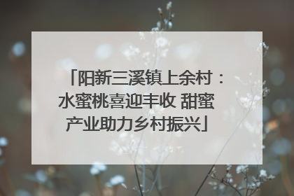 阳新三溪镇上余村：水蜜桃喜迎丰收 甜蜜产业助力乡村振兴
