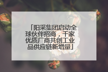 阳采集团启动全球伙伴招商，千家优质厂商共创工业品供应链新增量