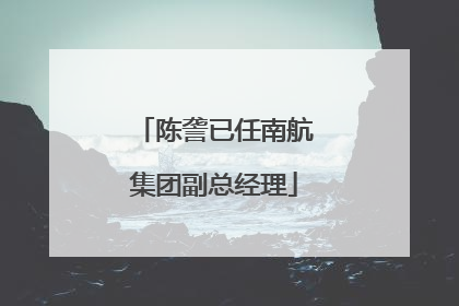 陈詟已任南航集团副总经理