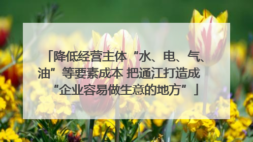 降低经营主体“水、电、气、油”等要素成本 把通江打造成“企业容易做生意的地方”