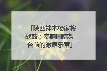 陕西神木杨家将战鼓：奏响国际舞台前的激昂乐章