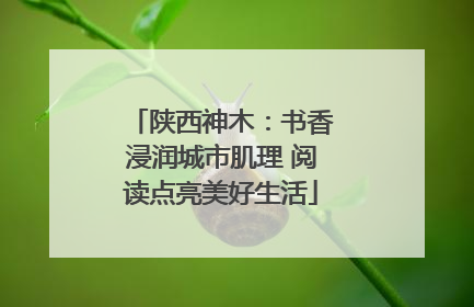 陕西神木：书香浸润城市肌理 阅读点亮美好生活