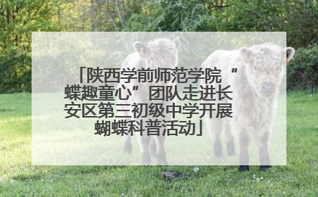 陕西学前师范学院“蝶趣童心”团队走进长安区第三初级中学开展蝴蝶科普活动