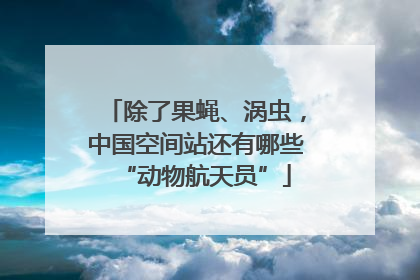 除了果蝇、涡虫，中国空间站还有哪些“动物航天员”