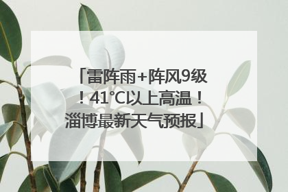 雷阵雨+阵风9级！41℃以上高温！淄博最新天气预报