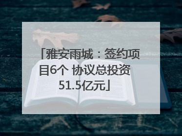 雅安雨城：签约项目6个 协议总投资51.5亿元