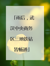 雨后，武汉中央商务区三地铁站皆畅通