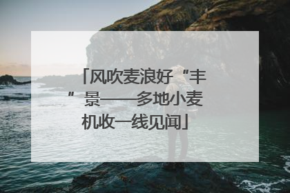 风吹麦浪好“丰”景——多地小麦机收一线见闻