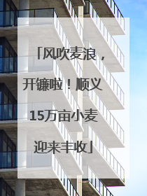 风吹麦浪，开镰啦！顺义15万亩小麦迎来丰收