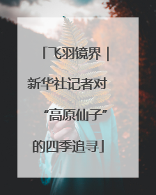 飞羽镜界｜新华社记者对“高原仙子”的四季追寻