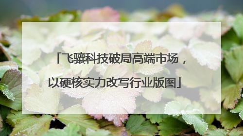 飞骧科技破局高端市场，以硬核实力改写行业版图