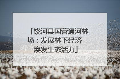 饶河县国营通河林场：发展林下经济 焕发生态活力