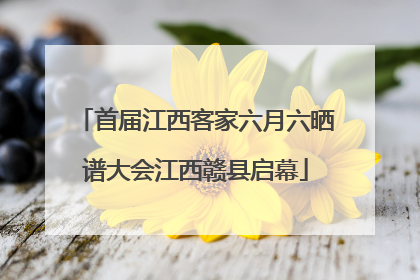 首届江西客家六月六晒谱大会江西赣县启幕