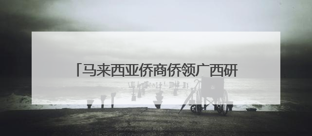 马来西亚侨商侨领广西研修 学中医看非遗谋发展