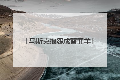马斯克抱怨成替罪羊