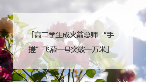 高二学生成火箭总师 “手搓”飞燕一号突破一万米
