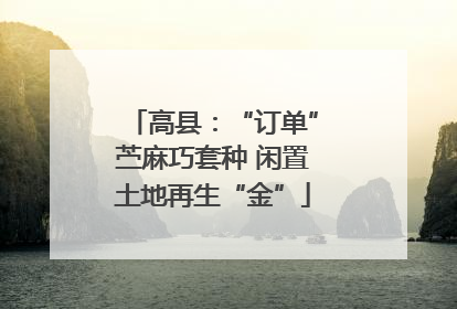 高县：“订单”苎麻巧套种 闲置土地再生“金”
