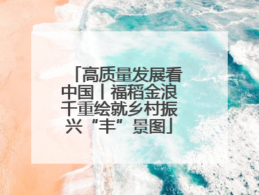 高质量发展看中国丨福稻金浪千重绘就乡村振兴“丰”景图
