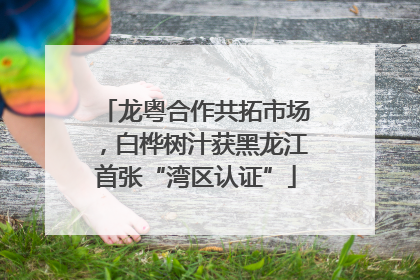 龙粤合作共拓市场，白桦树汁获黑龙江首张“湾区认证”