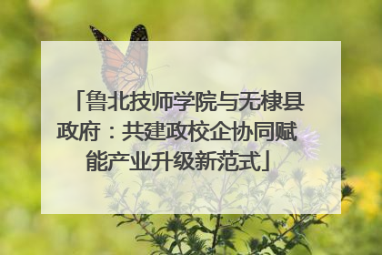 鲁北技师学院与无棣县政府：共建政校企协同赋能产业升级新范式