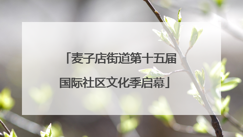 麦子店街道第十五届国际社区文化季启幕