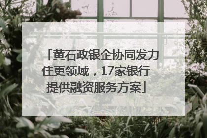 黄石政银企协同发力住更领域，17家银行提供融资服务方案