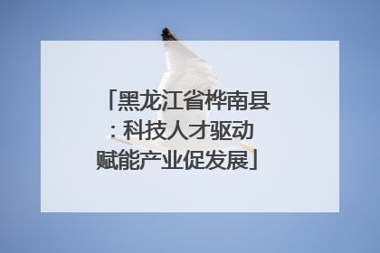 黑龙江省桦南县：科技人才驱动 赋能产业促发展