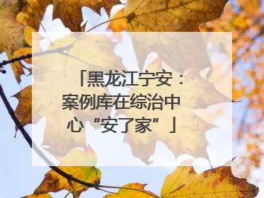 黑龙江宁安：案例库在综治中心“安了家”