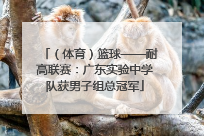 （体育）篮球——耐高联赛：广东实验中学队获男子组总冠军
