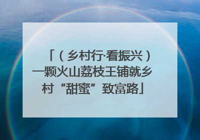 （乡村行·看振兴）一颗火山荔枝王铺就乡村“甜蜜”致富路