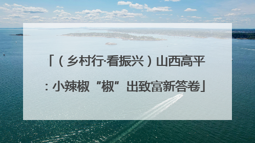 （乡村行·看振兴）山西高平：小辣椒“椒”出致富新答卷