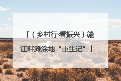 （乡村行·看振兴）赣江畔滩涂地“重生记”