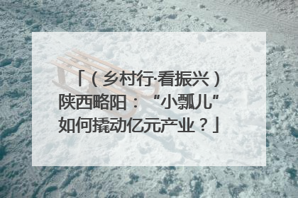 （乡村行·看振兴）陕西略阳：“小瓢儿”如何撬动亿元产业？