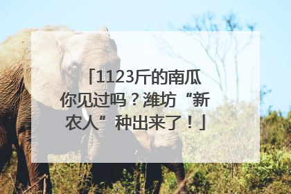 1123斤的南瓜你见过吗？潍坊“新农人”种出来了！
