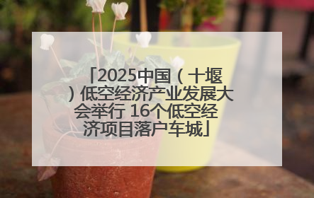 2025中国（十堰）低空经济产业发展大会举行 16个低空经济项目落户车城